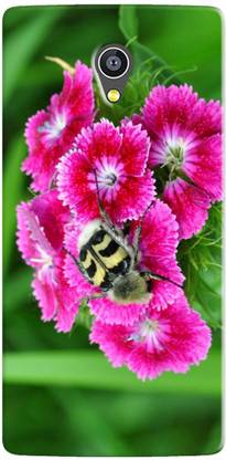 HI5OUTLET Back Cover for Micromax Canvas Mega 4G Q417, MICROMAX Q417, MMX Q417