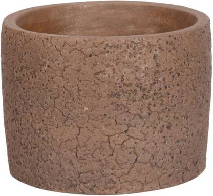 स्क्रैफ्ट Rugged Cement Artificial/Faux/Original Flowers/Plants LBH(Inches)=5X4X2 सिरेमिक वास