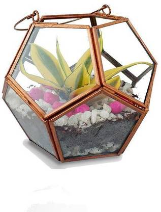 TrustBasket Geometric Terrarium Plant Container Set