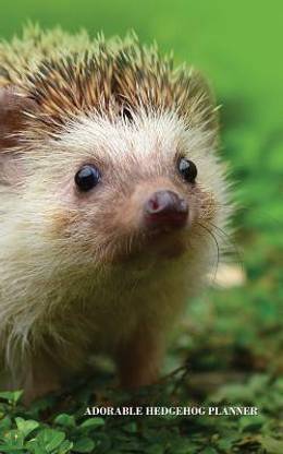 Adorable Hedgehog Planner
