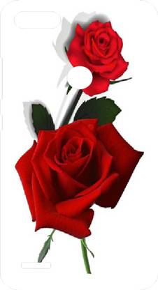 BLCON Back Cover for Tecno Camon i Sky