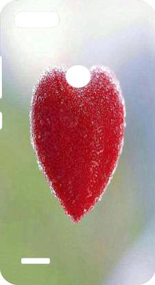 BLCON Back Cover for Tecno Camon i Sky