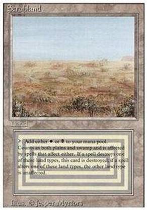 Generic Magic: the Gathering - Scrubland - Revised Edition