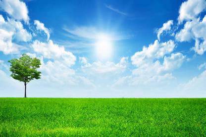 AZOHP6443 Sunny Blue Sky Nature Full HD Poster Paper Print