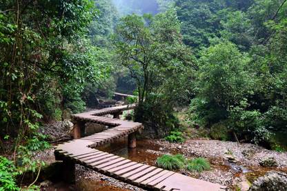 AZOHP6735 Wooden Path Through The Forest Nature Full HD Poster Paper Print