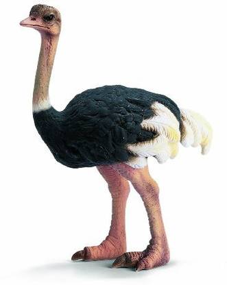 Schleich Ostrich
