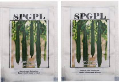 SPGPL Pack of Two Ridge Gourd Seed