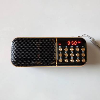 RNY Fm Radio With Digital Audio Player(Bkk-B851) Home Satellite Radio