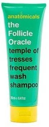 Anatomicals The Follicle Oracle Shampoo