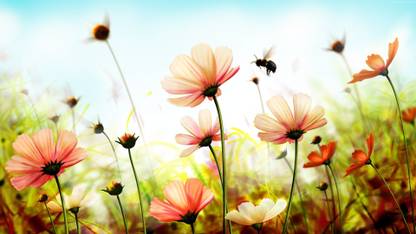 HD Wallpaper of Nature And flowers Wallpaper Wall Decor Poster Home Decor Pictures 3D Poster