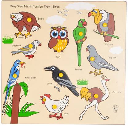 SKILLOFUN King Size Identification Tray Birds