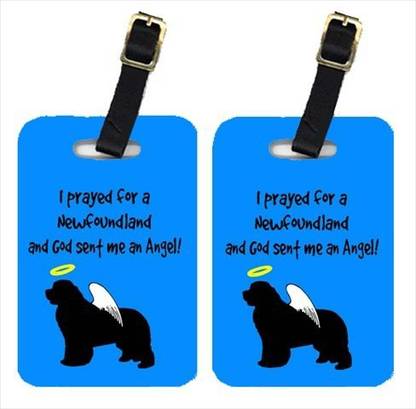 Caroline's Treasures AN1089BT Newfoundland Luggage Tag