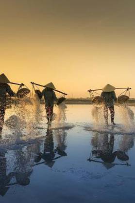 Vietnam Notebook