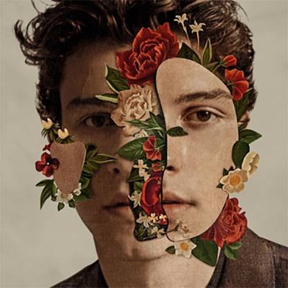 Shawn Mendes Audio CD Standard Edition