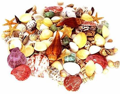 Miraclekoo 170 Pcs Sea Shells Mixed Beach Seashells Starfish, Colorful Natural Seashells Approx.1 Lb Perfect Accent For Candle Making, Home