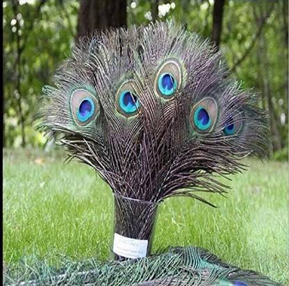 Sopeace Real Natural Peacock Feathers, 100 Pack