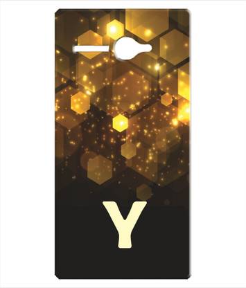 pinaaki Back Cover for Micromax Bolt Q381 - Alphabet Y