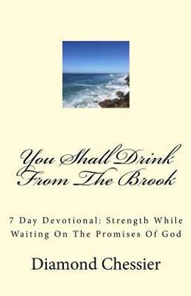 You Shall Drink From The Brook