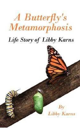 A Butterfly's Metamorphosis