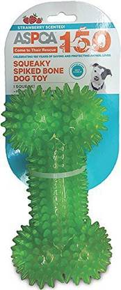 Bow Wow Pet Aspca Squeaky Spiked Bone Dog Toy-Green