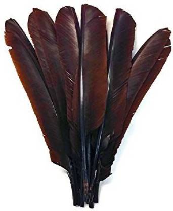 1/4 Lb Black Turkey Pointers Primary Wing Quill Large Wholesale Feather Supplier 