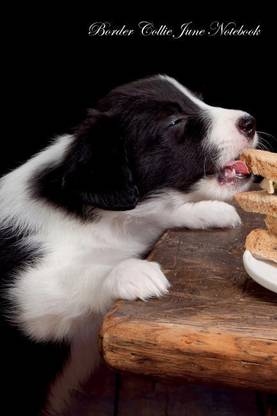 Border Collie June Notebook Border Collie Record, Log, Diary, Special Memories, To Do List, Academic Notepad, Scrapbook & More