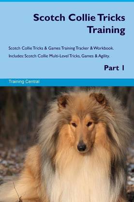Scotch Collie Tricks Training Scotch Collie Tricks & Games Training Tracker & Workbook. Includes