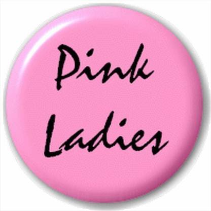 Button Badges (D Pin) 25Mm Lapel Pin Badge: Pink Ladies - Grease
