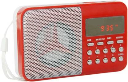 NZ portable digital fm radio sm 246 support memory card, aux in ,recording FM Radio