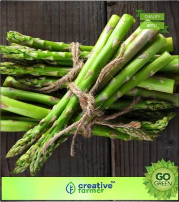creative farmer Asparagus Kurilo Asparagaceae Family Seed