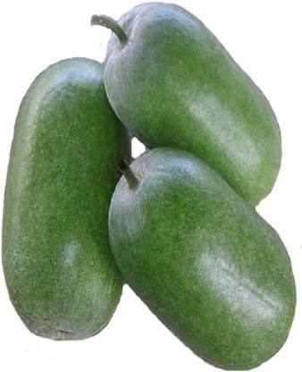 syed garden DARK GREEN PUMPKIN, (20 SEED PER PACK ) Seed