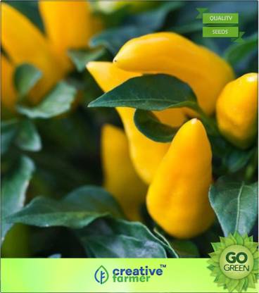 creative farmer Chilli Capsicum Seeds (Ornamental) Non Gmo Seed