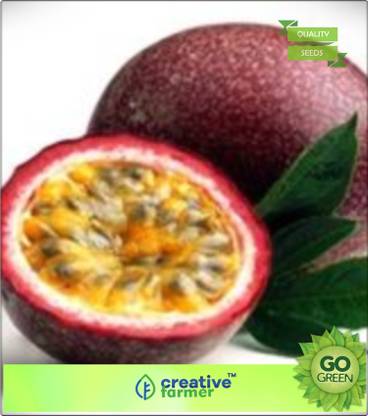 creative farmer Fruit Seeds Jelly Aromatic Passion Fruit Fruit Seeds ForÃÂ Planting Fruit Seeds Seed