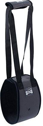 DogLemi Dog Harness & Leash