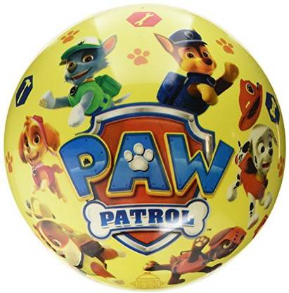Globo Toys 50952 230 Mm Summer Paw Patrol Ball with Net