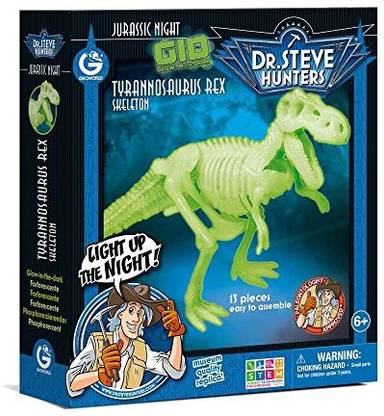 Geoworld Cl1651�K���Jurassic Night Glow in the Dark Game���Tyrannosaurus Rex