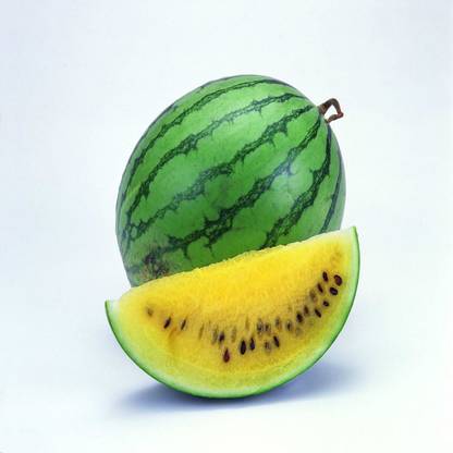 syed garden LIGHT GREEN & YELLOW WATERMELON 50 Seed