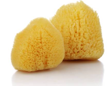 Rivapax Sea Sponge Natural Tampons 2-in-1 Pack (Reusable) Tampons