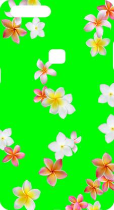 BLCON Back Cover for Lava Z90