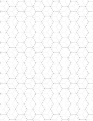 Hexagon Notebook (Atom)