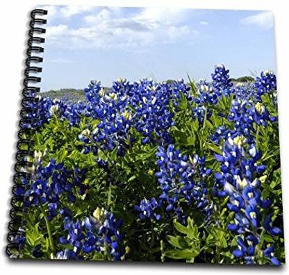 3dRose db_94452_1 Bluebonnets, Freyburg, Texas US44 FVI0010 Franklin Viola Drawing Book, 8 by 8 Inch