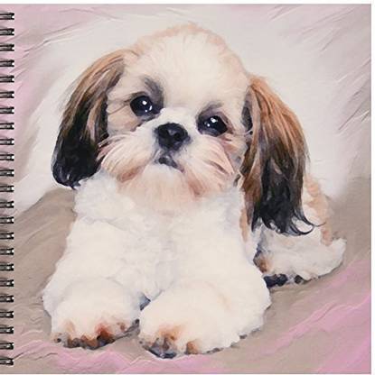3dRose db_4807_1 Shih Tzu Puppy Drawing Book, 8 by 8 Inch