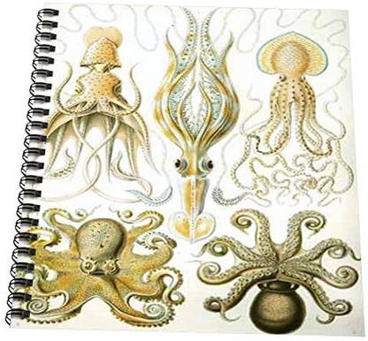3dRose db_80725_1 Picture Of 1800 Drawing Of Famous Biologist Squids Drawing Book, 8 by 8"