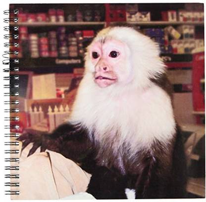 3dRose db_155919_1 Capuchin Monkey in Store Photograph Drawing Book, 8 by 8 Inch