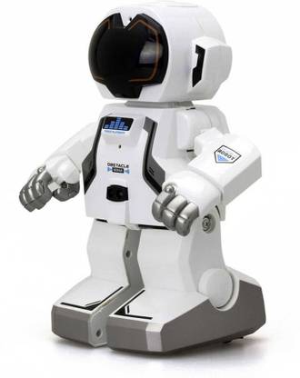 Silverlit IR Echo Bot