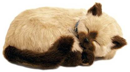 Perfect Petzzz The Original Breathing Pet Siamese Kitten New Huggable Soft Version Plush Toy Gift Bundle