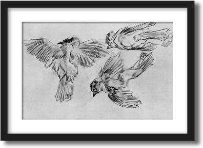 ArtCentral Studies of a Dead Sparrow, 1885 Painting By Vincent Van Gogh (Without Glass) Black Frame With Border Art Print Digital Reprint 15 inch x 21 inch Painting