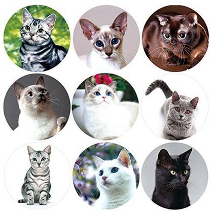 Ceiba Tree 200 Pcs Realistic Cute Cat Stickers Kitten Roll Sticker for School