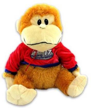 Bulk Buys 13 Inch Plush Monkey With Hoodie  - 13 inch