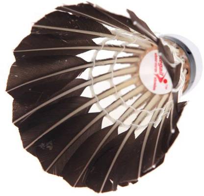 Quinergys ® Super A++ Quality Duck Feather Shuttlecocks High Speed Badminton Birdies Balls with Great Stability and Durability Feather Shuttle  - Black